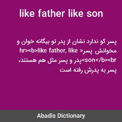 معنی like father like son